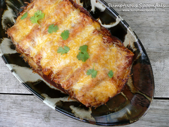 Smoky Red Shredded Chicken Enchiladas