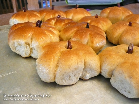 Pumpkin Dinner Rolls from Sumptuous Spoonfuls #pumpkin #bread #rolls #recipe