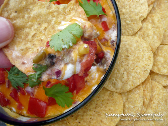 "To Die For" Cheesy Chili Layer Dip