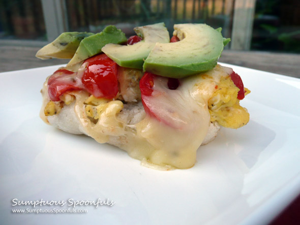 Tomato Avocado Pepperjack Breakfast Sandwich ~ SumptuousSpoonfuls.com #egg #breakfast #avocado #recipe