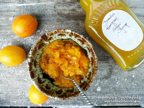 Brandied Kumquat Ginger Syrup (and candied kumquats too!) ~ from Sumptuous Spoonfuls 