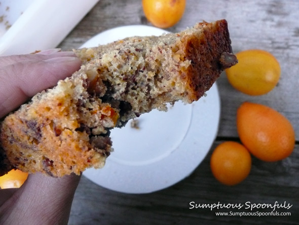 Cinnamon Spice Kumquat Nut Bread ~ Sumptuous Spoonfuls #kumquat #nut #quickbread #recipe