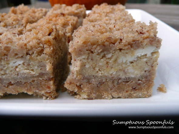 Crumb Topped Pumpkin Cheesecake Squares ~ Sumptuous Spoonfuls #pumpkin #cheesecake #recipe