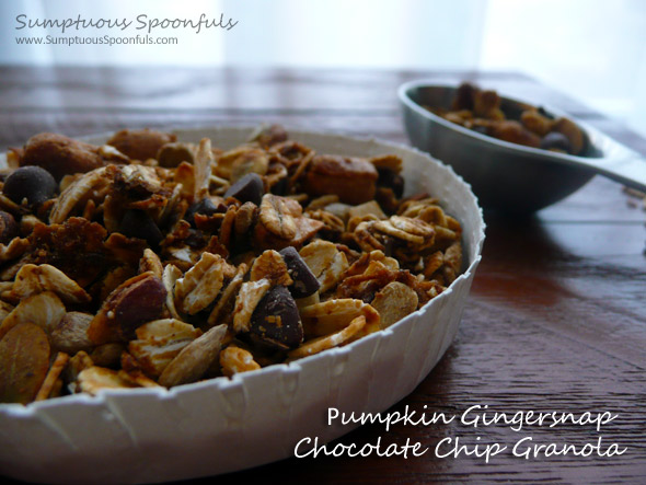 Pumpkin Gingersnap Chocolate Chip Granola