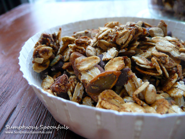 Pumpkin Gingersnap Chocolate Chip Granola