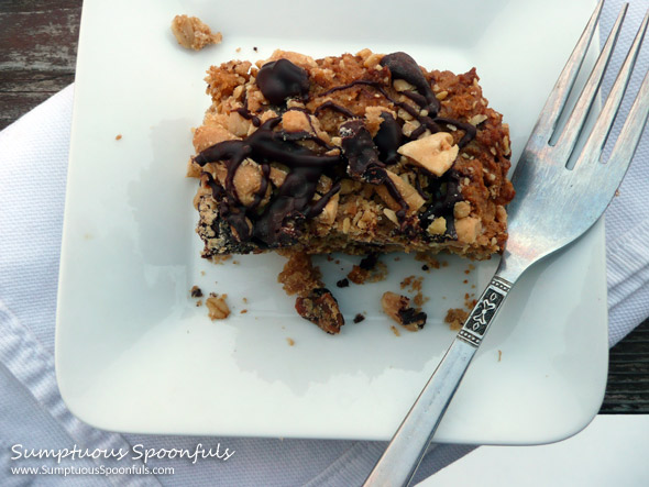 Chocolate Peanut Butter Oatmeal Crumble Bars