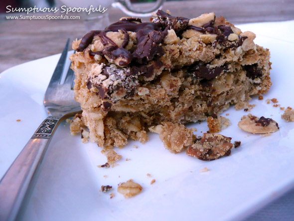 Chocolate Peanut Butter Oatmeal Crumble Bars