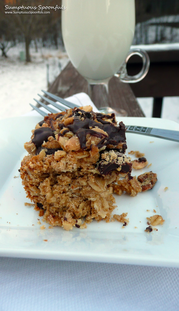 Chocolate Peanut Butter Oatmeal Crumble Bars