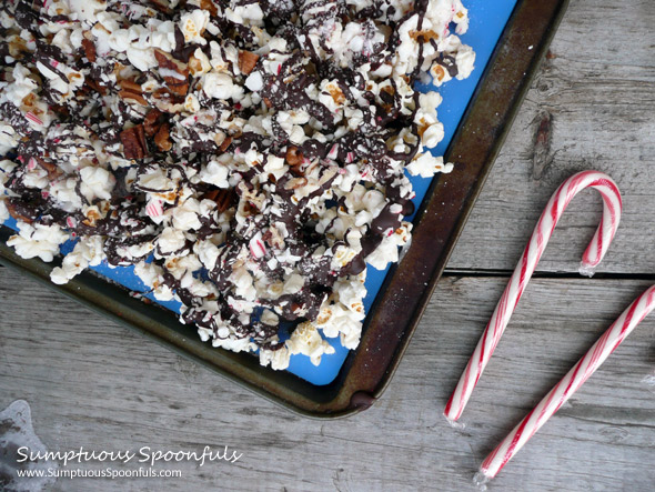 Chocolate Peppermint Pecan Popcorn ~ from Sumptuous Spoonfuls #chocolate #peppermint #pecan #popcorn #recipe