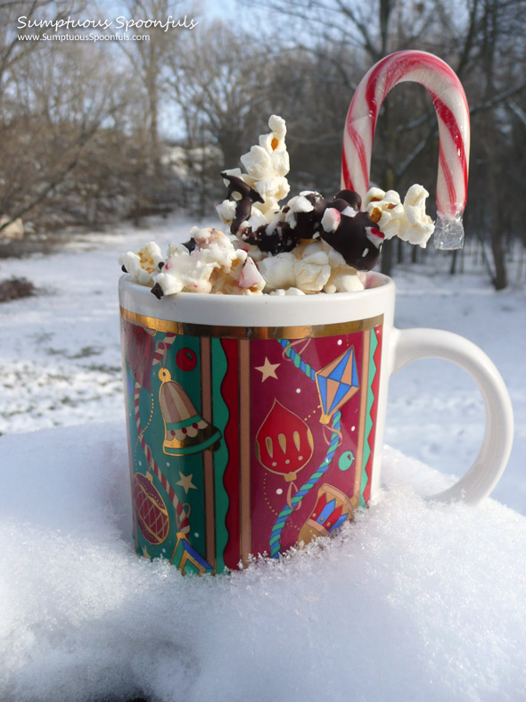 Chocolate Peppermint Pecan Popcorn ~ from Sumptuous Spoonfuls #chocolate #peppermint #pecan #popcorn #recipe