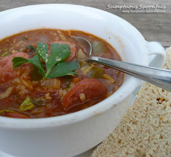 Creole Stout Sausage Gumbo from Sumptuous Spoonfuls #creole #gumbo #recipe