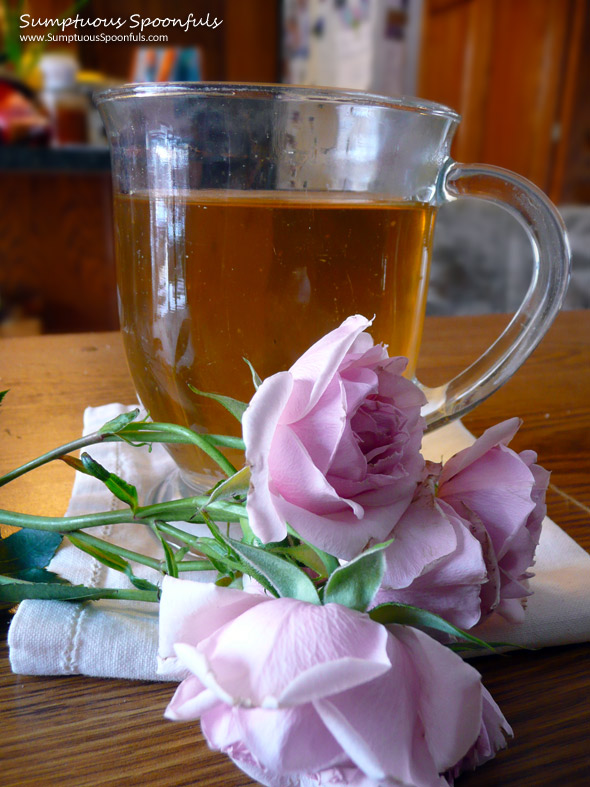 Hot Brandy Rose