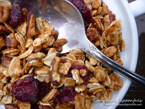 Kumquat Cranberry Pecan Granola