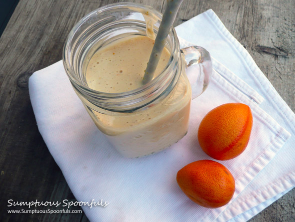 Kumquat Creamsicle Smoothie