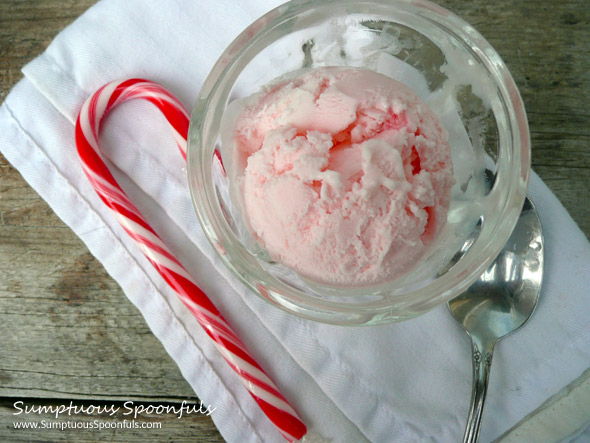 Fresh & Simple Peppermint Stick Ice Cream