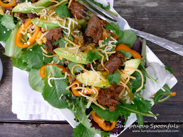 BBQ Beef Avocado Sweet Pepper Salad with Cilantro Marmalade Vinaigrette ~ Sumptuous Spoonfuls #beef #salad #recipe