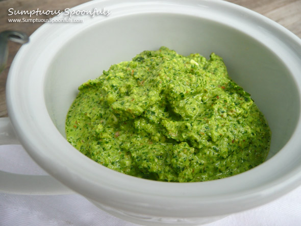 Cilantro Almond Pesto ~ Sumptuous Spoonfuls #cilantro #pesto #recipe