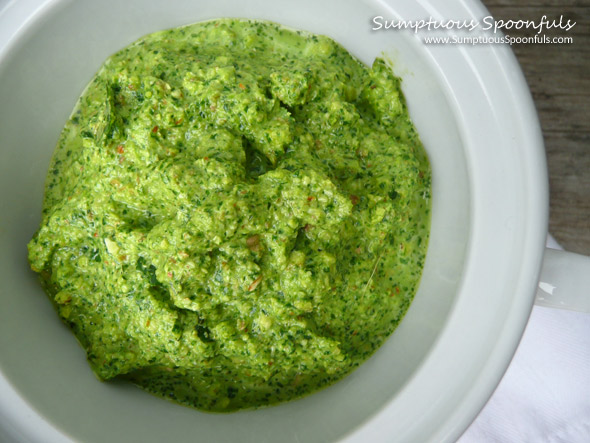 Cilantro Almond Pesto ~ Sumptuous Spoonfuls #cilantro #pesto #recipe