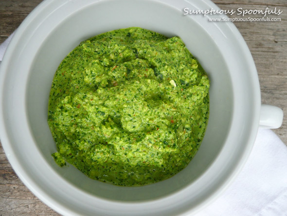 Cilantro Almond Pesto ~ Sumptuous Spoonfuls #cilantro #pesto #recipe