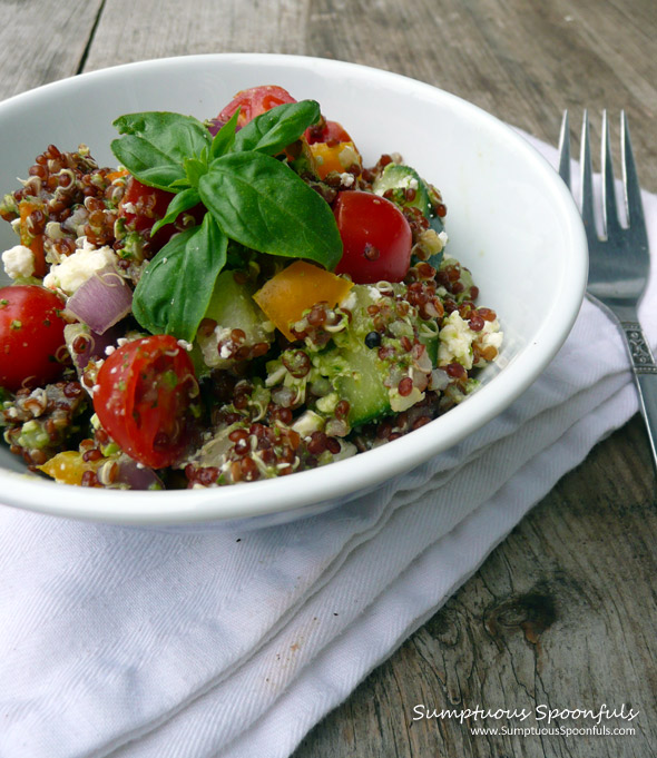 Confetti Quinoa Salad with Feta and a Cilantro Pesto Lemon Dressing ~ Sumptuous Spoonfuls #quinoa #pesto #recipe