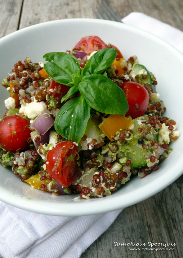 Confetti Quinoa Salad with Feta and a Cilantro Pesto Lemon Dressing ~ Sumptuous Spoonfuls #quinoa #pesto #recipe