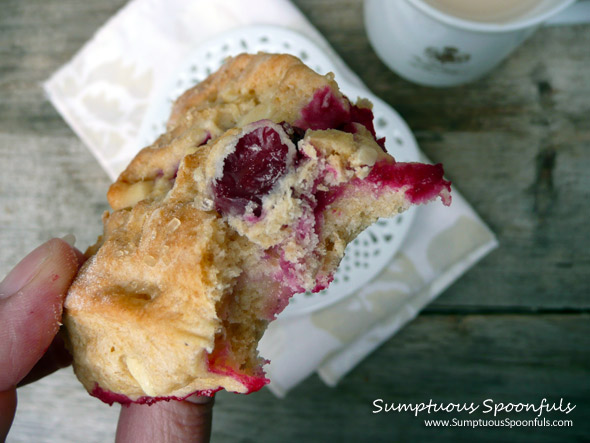 Cranberry White Chocolate Scones ~ from Sumptuous Spoonfuls #cranberry #scone #recipe