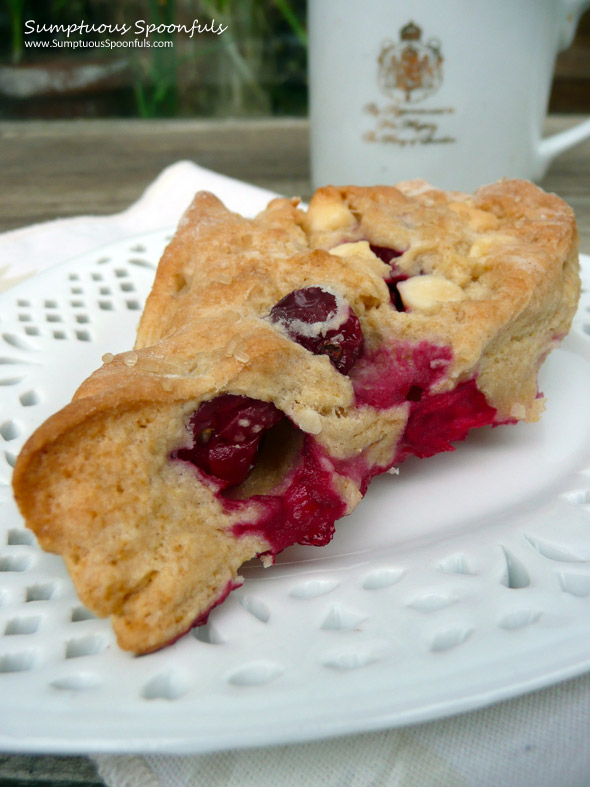 Cranberry White Chocolate Scones ~ from Sumptuous Spoonfuls #cranberry #scone #recipe