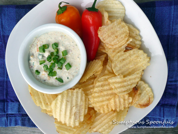 Dilly Bacon & Roasted Sweet Pepper Dip ~ from Sumptuous Spoonfuls #bacon #pepper #dip