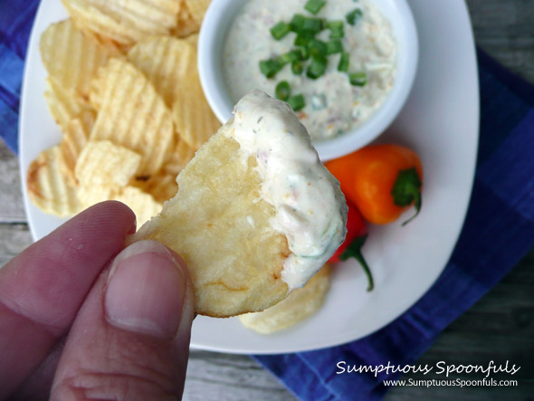 Dilly Bacon & Roasted Sweet Pepper Dip ~ from Sumptuous Spoonfuls #bacon #pepper #dip