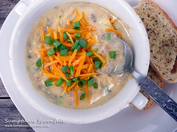 Green Chile Cheeseburger Soup ~ Sumptuous Spoonfuls #cheeseburger #soup #recipe