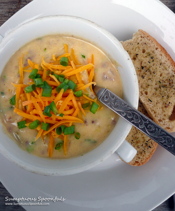 Green Chile Cheeseburger Soup ~ Sumptuous Spoonfuls #cheeseburger #soup #recipe