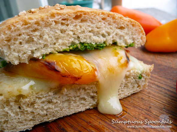 Pesto Pepper Havarti Bacon Panino