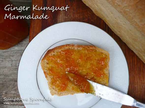 Super Easy Ginger Kumquat Marmalade ~ Sumptuous Spoonfuls #marmalade #recipe