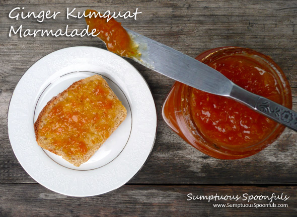 Super Easy Ginger Kumquat Marmalade ~ Sumptuous Spoonfuls #marmalade #recipe
