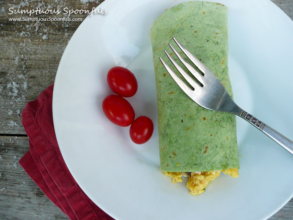 Tomato, Egg & Cilantro Pesto Breakfast Wrap ~ Sumptuous Spoonfuls #breakfast #wrap #recipe