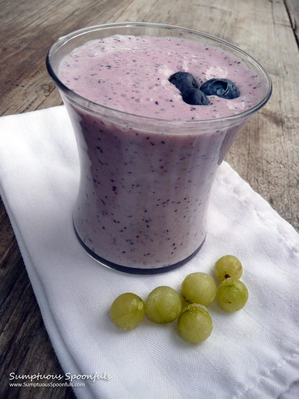 Blueberry Gooseberry Smoothie ~ Sumptuous Spoonfuls #smoothie #recipe