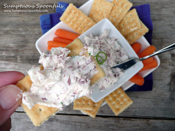 Corned Beef & Chevre Cheese Spread ~ Sumptuous Spoonfuls #cheese #recipe