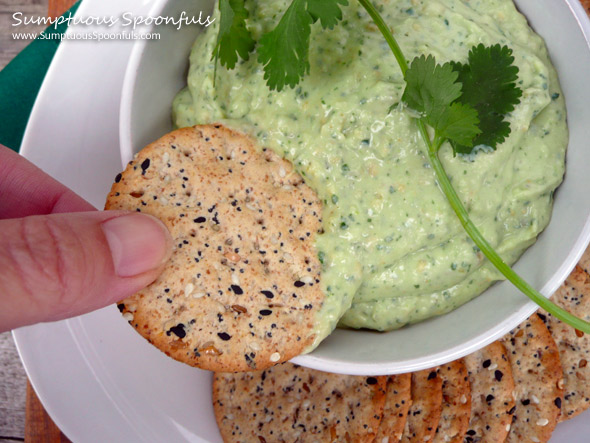 Creamy Avocado Cilantro Bean Dip ~ Sumptuous Spoonfuls #avocado #dip #recipe