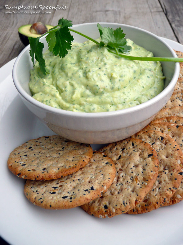 Creamy Avocado Cilantro Bean Dip ~ Sumptuous Spoonfuls #avocado #dip #recipe