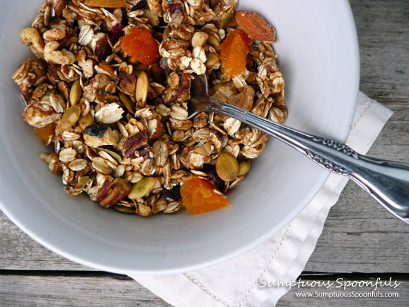 Pumpkin Chai Granola with Apricots ~ Sumptuous Spoonfuls #chai #granola #recipe