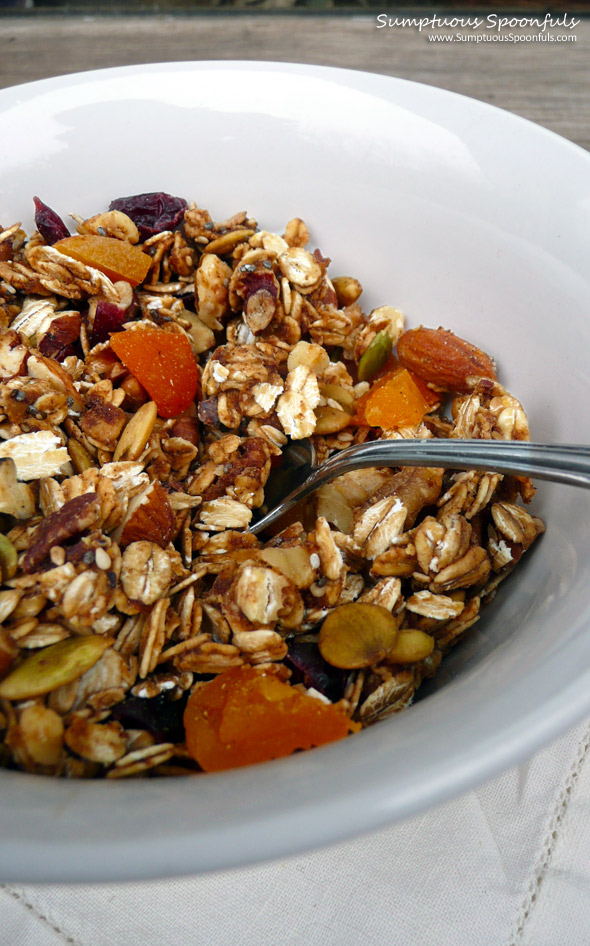 Pumpkin Chai Granola with Apricots ~ Sumptuous Spoonfuls #chai #granola #recipe