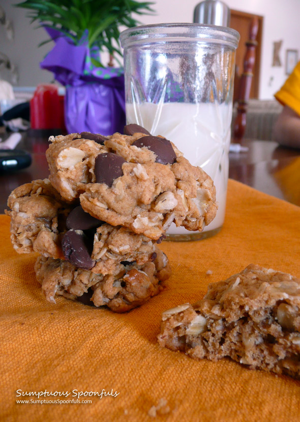 Peanut Butter Oatmeal Banana Chocolate Chip Cookies ~ Sumptuous Spoonfuls #cookie #recipe