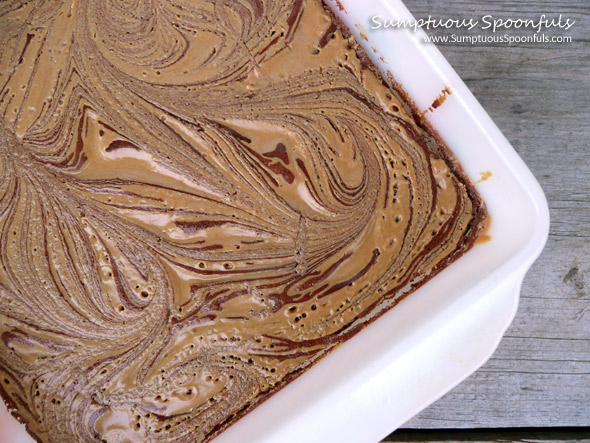 Super Fudgy Peanut Butter Swirl Chocolate Brownies ~ Sumptuous Spoonfuls #fudge #brownie #recipe