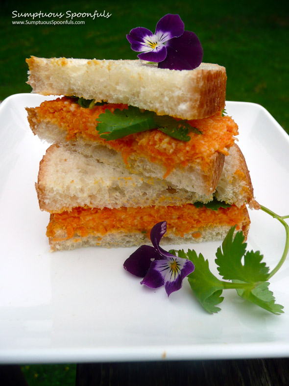Curried Carrot Cheddar Sandwich ~ Sumptuous Spoonfuls #sandwich #recipe