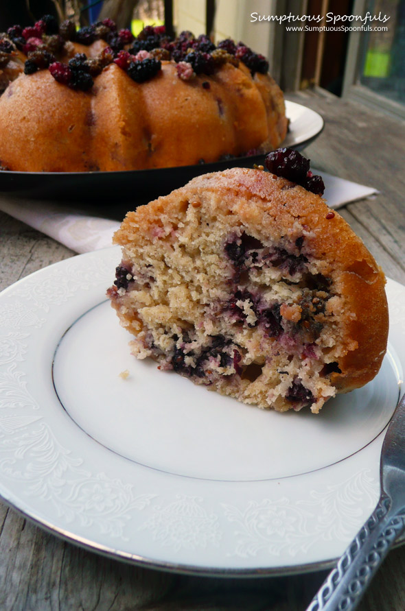 Fresh Lemon Berry Yogurt Cake ~ Sumptuous Spoonfuls #cake #recipe