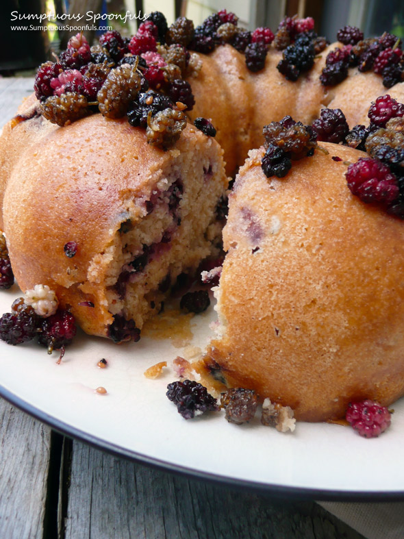 Fresh Lemon Berry Yogurt Cake ~ Sumptuous Spoonfuls #cake #recipe