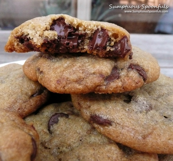 Mrs. Fields Blue Ribbon Chocolate Chip Cookies ~ Sumptuous Spoonfuls #cookie #recipe