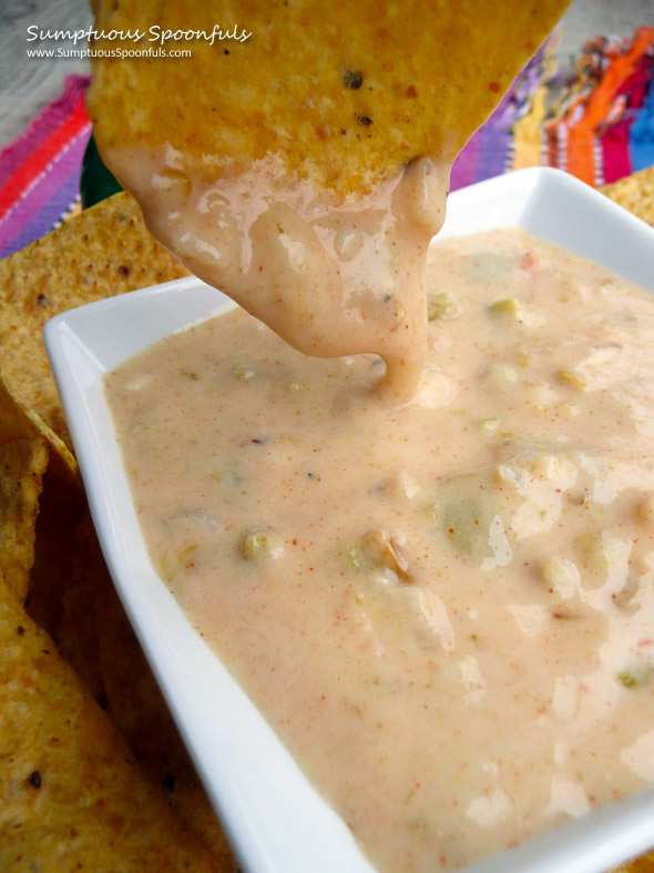 Queso Blanco {Mexican White Cheese Dip} ~ Sumptuous Spoonfuls #dip #recipe