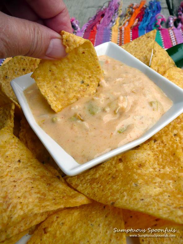 Queso Blanco {Mexican White Cheese Dip} ~ Sumptuous Spoonfuls #dip #recipe