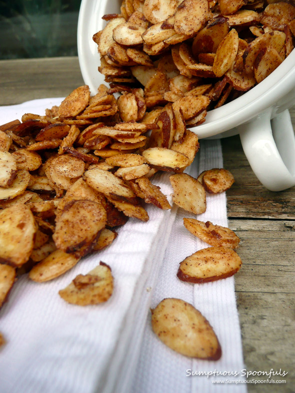 Sugar & Spice Almond Slices ~ Sumptuous Spoonfuls #almond #recipe